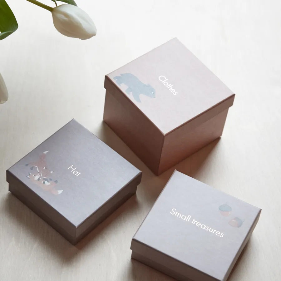 Cutie pentru amintirile bebelușului, keepsake box