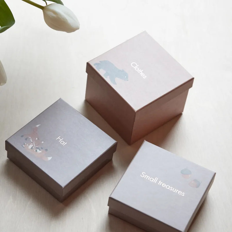 Cutie pentru amintirile bebelușului, keepsake box
