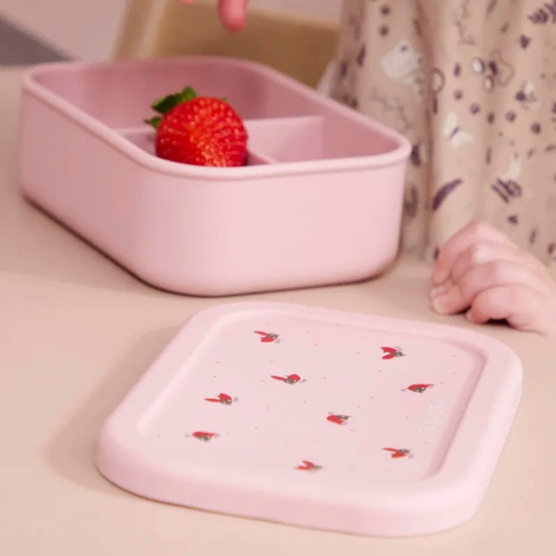 Cutie de prânz cu separator