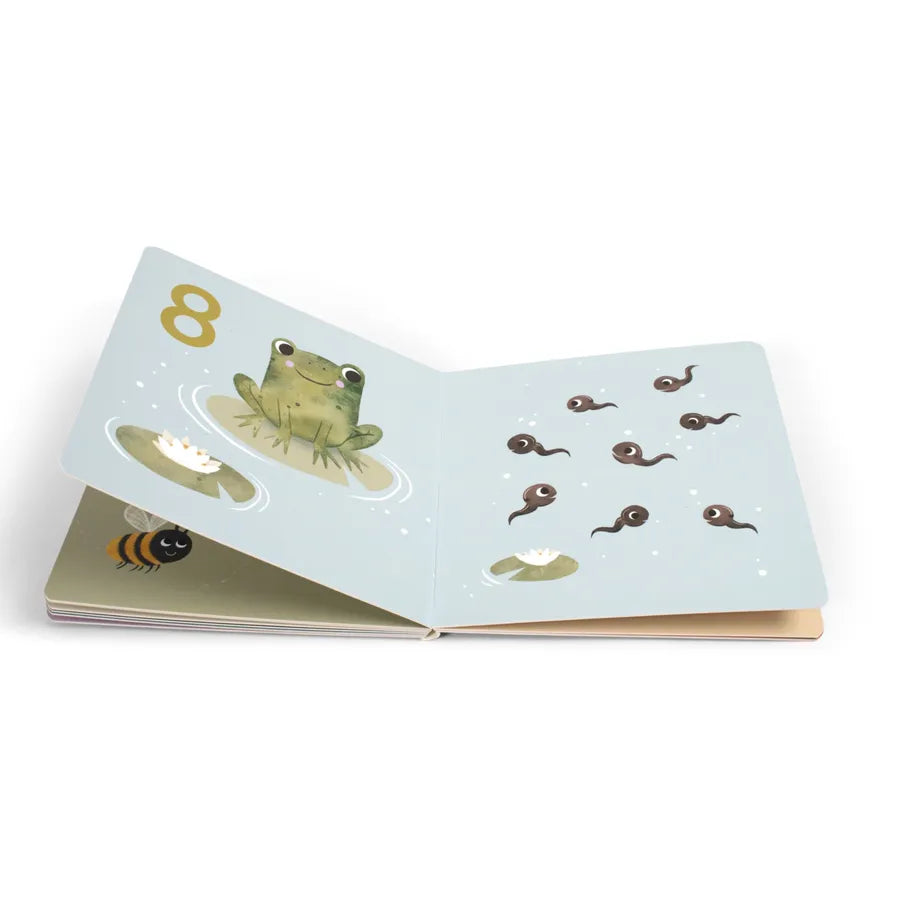 Prima carte cu numere, count to ten