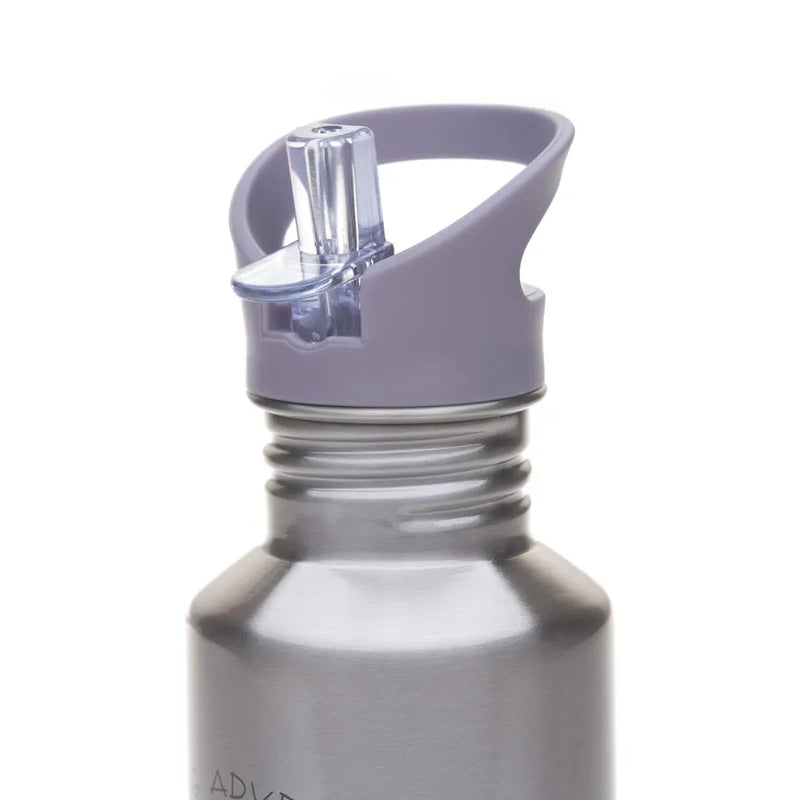 Sticlă din oțel inoxidabil, 500 ml, adventure, dragonfly